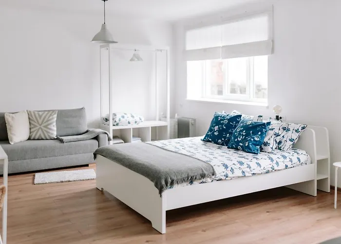 Lake Aluksne Studio Apartment