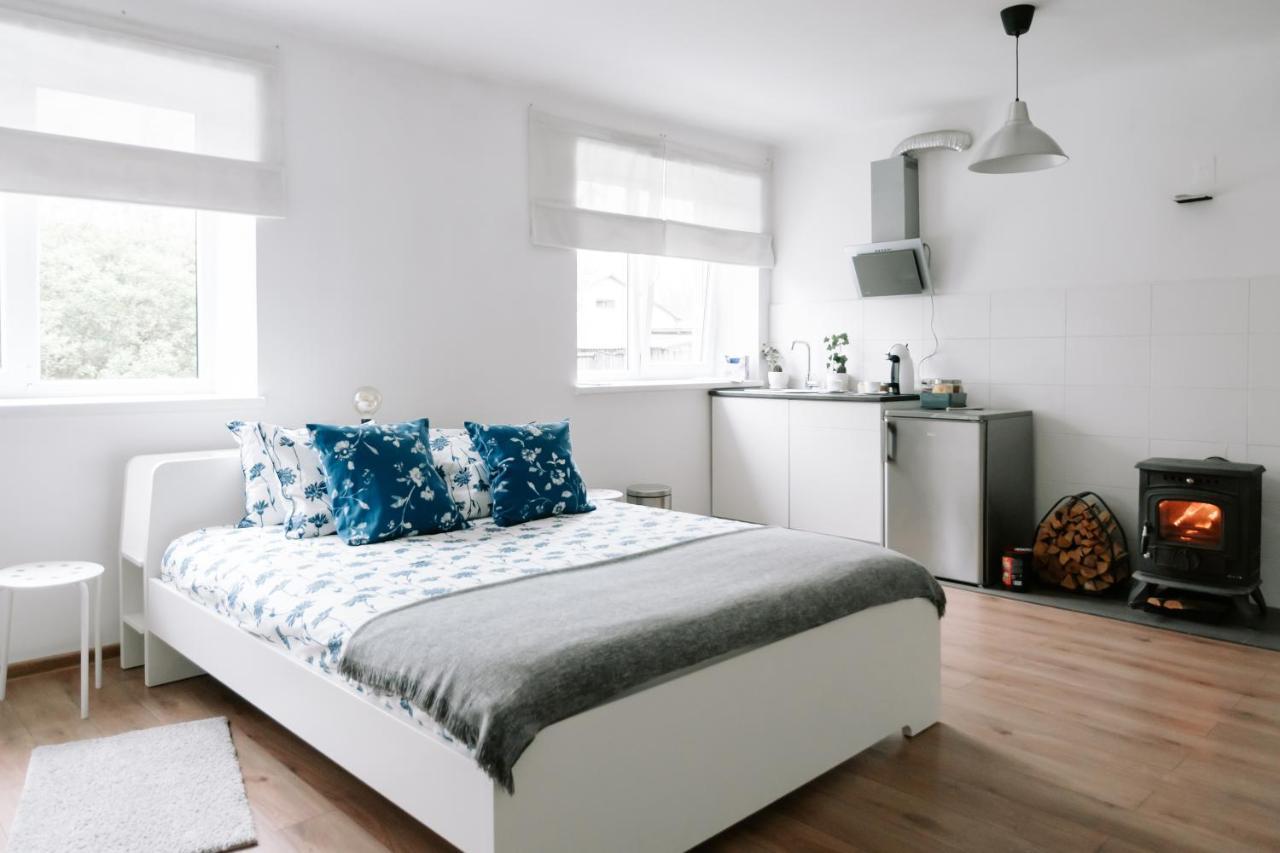 Lake Aluksne Studio Apartment Alūksne